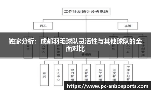独家分析：成都羽毛球队灵活性与其他球队的全面对比